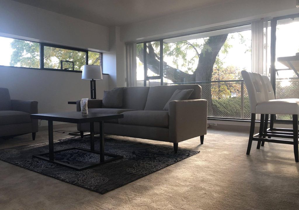 Photo of Livingroom in East Cambridge