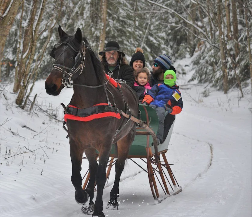 Photo of Human In Picture in Snowshoe