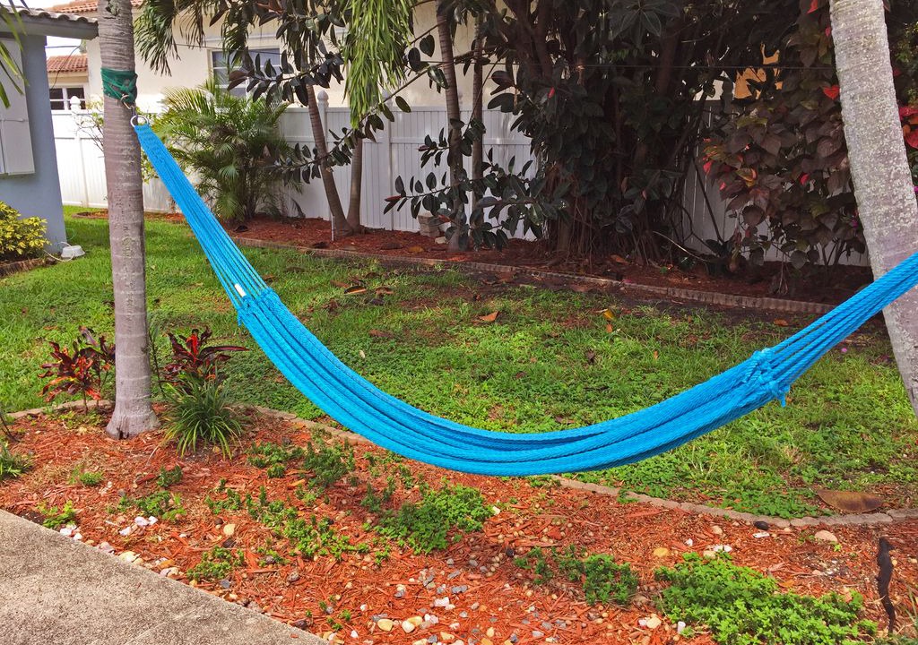 Photo of Outdoor in Royal Poinciana