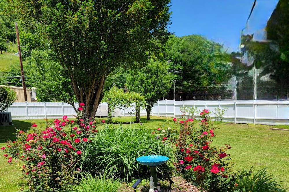 Photo of Outdoor in Webster Springs