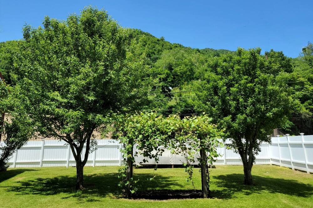 Photo of Outdoor in Webster Springs