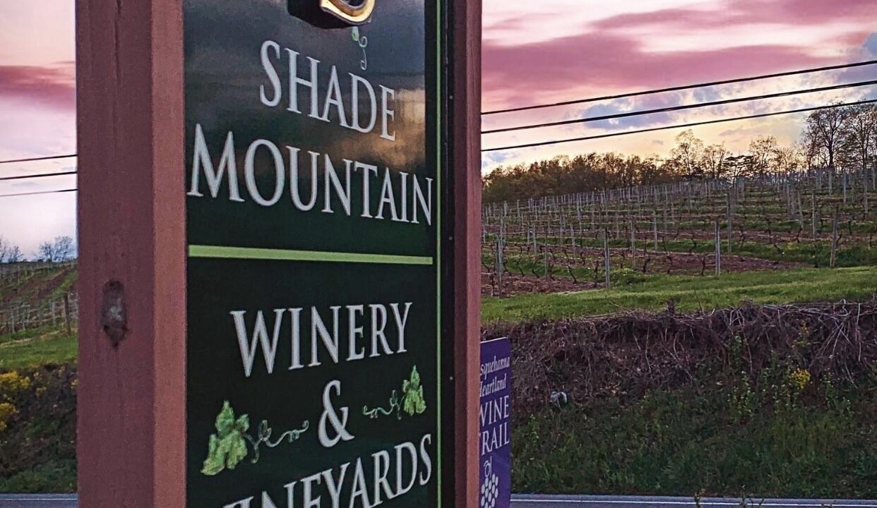 Photo of Outdoor in Middleburg