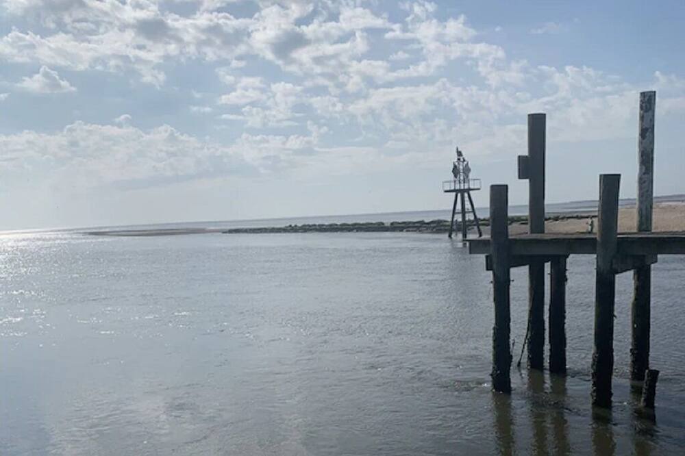 Photo of Others in Bowers Beach