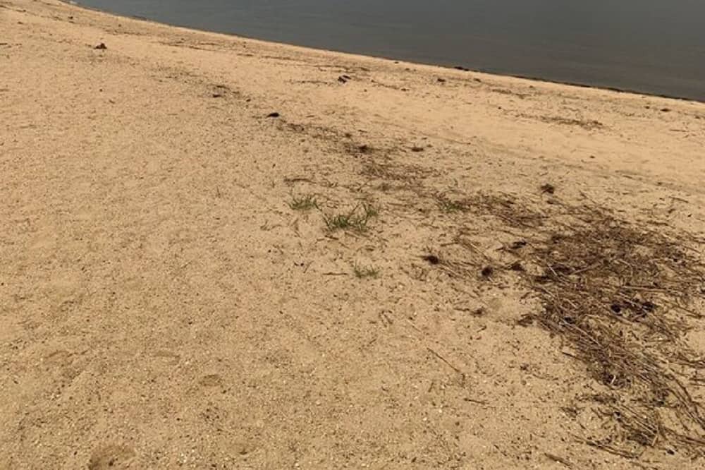 Photo of Others in Bowers Beach