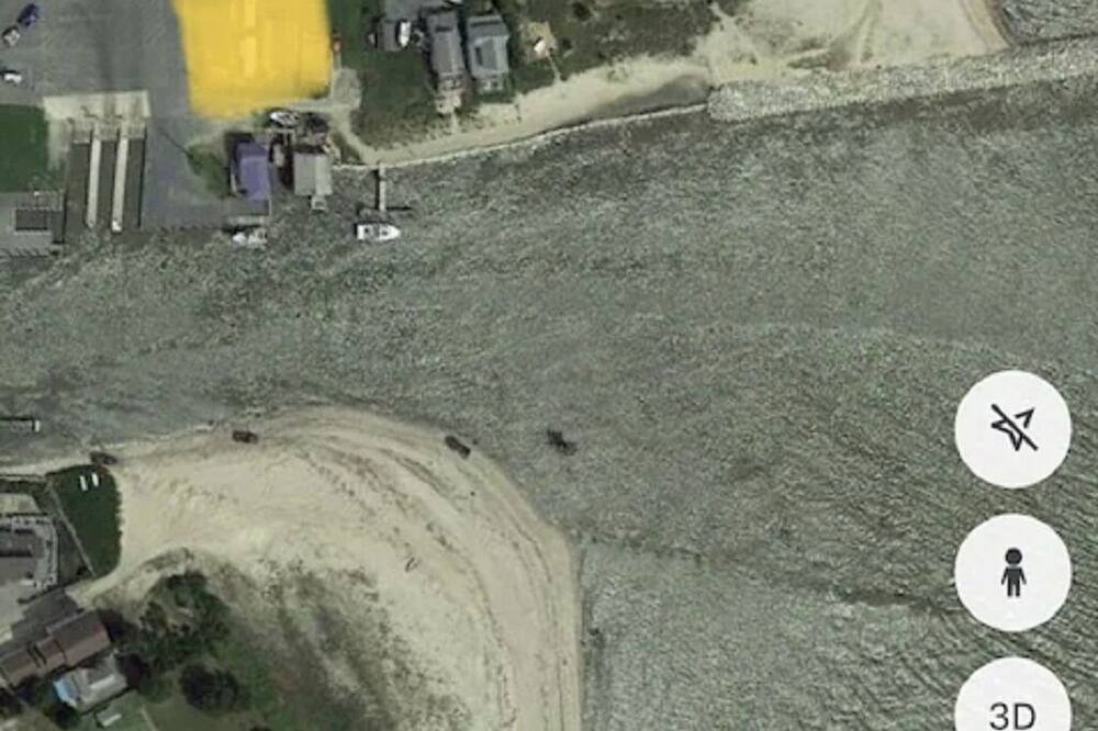 Photo of Others in Bowers Beach