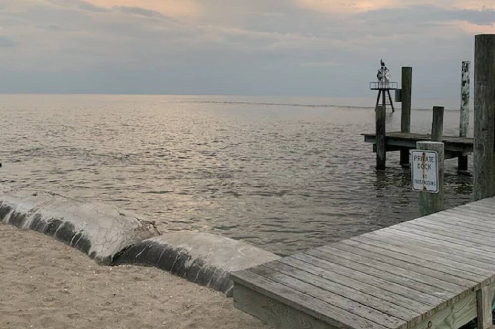 Photo of Others in Bowers Beach