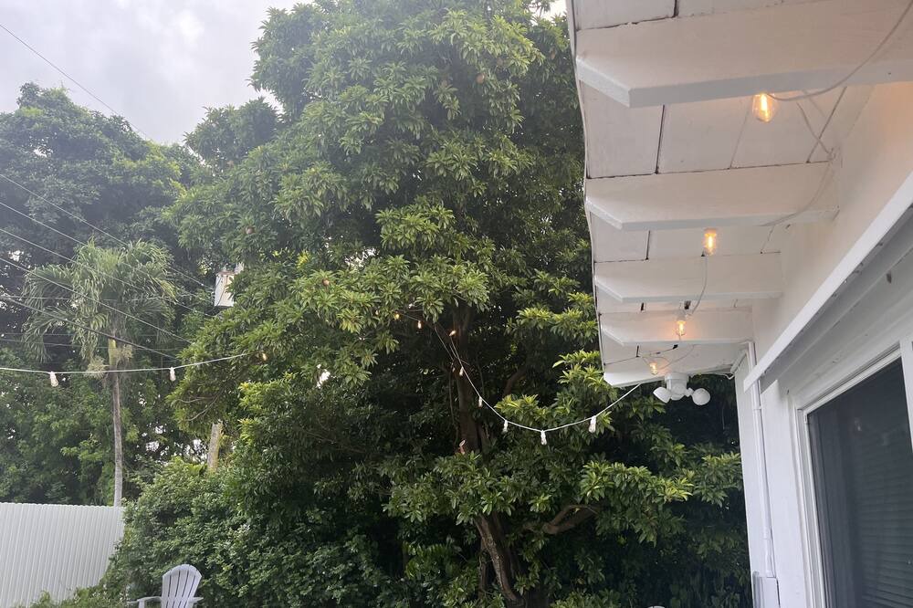 Photo of Outdoor in Highland Garden