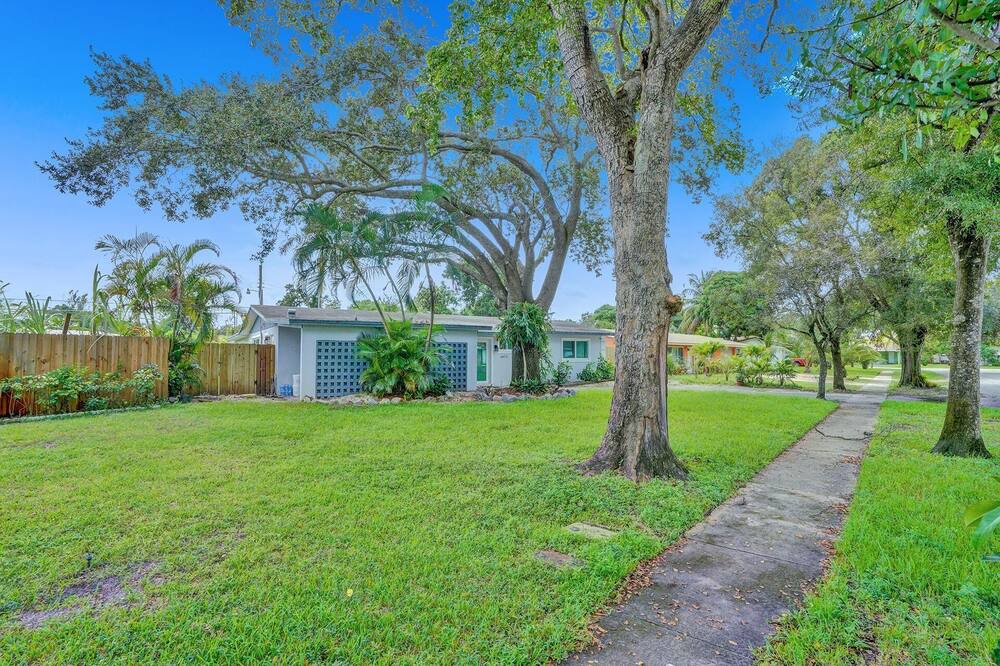 Photo of Outdoor in Plantation