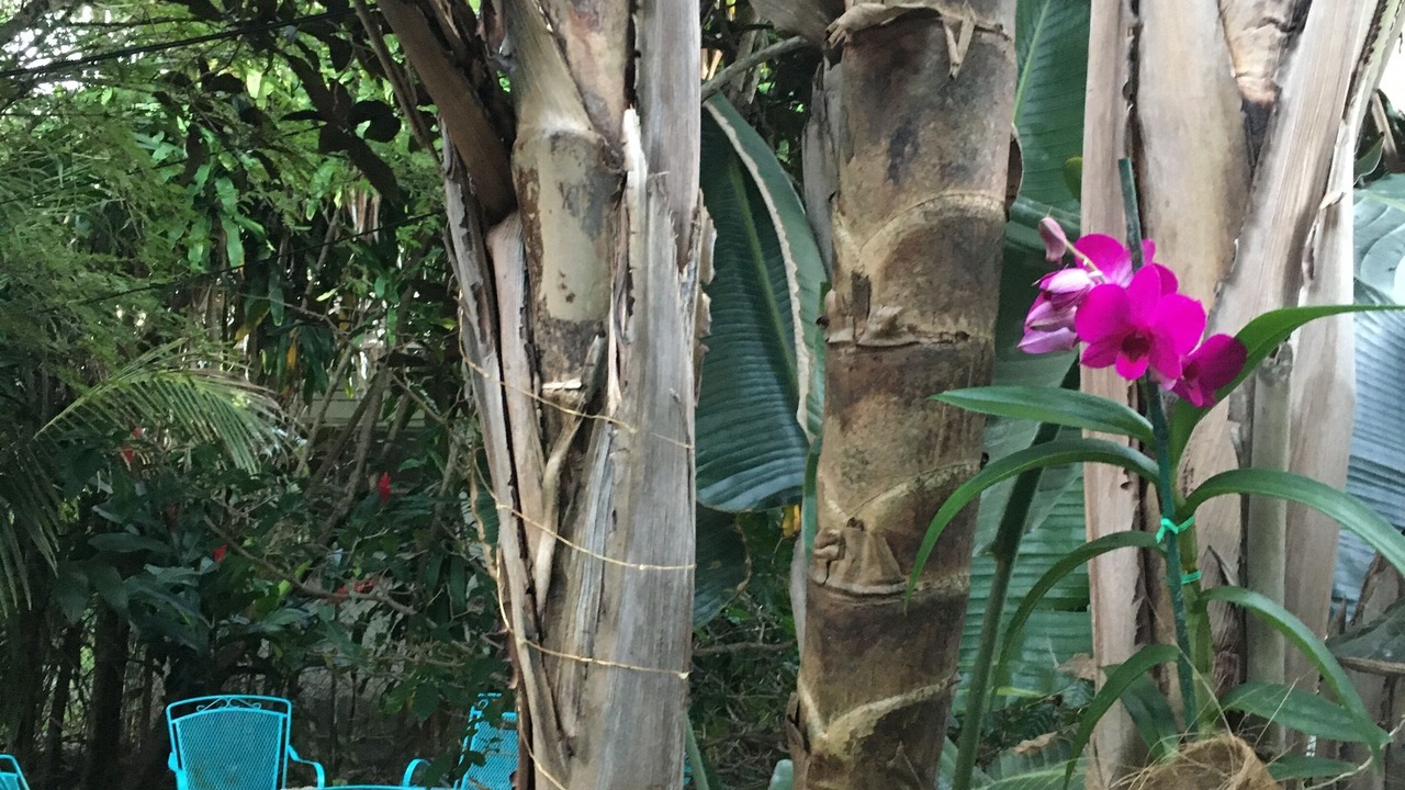 Photo of Outdoor in Miami Shores
