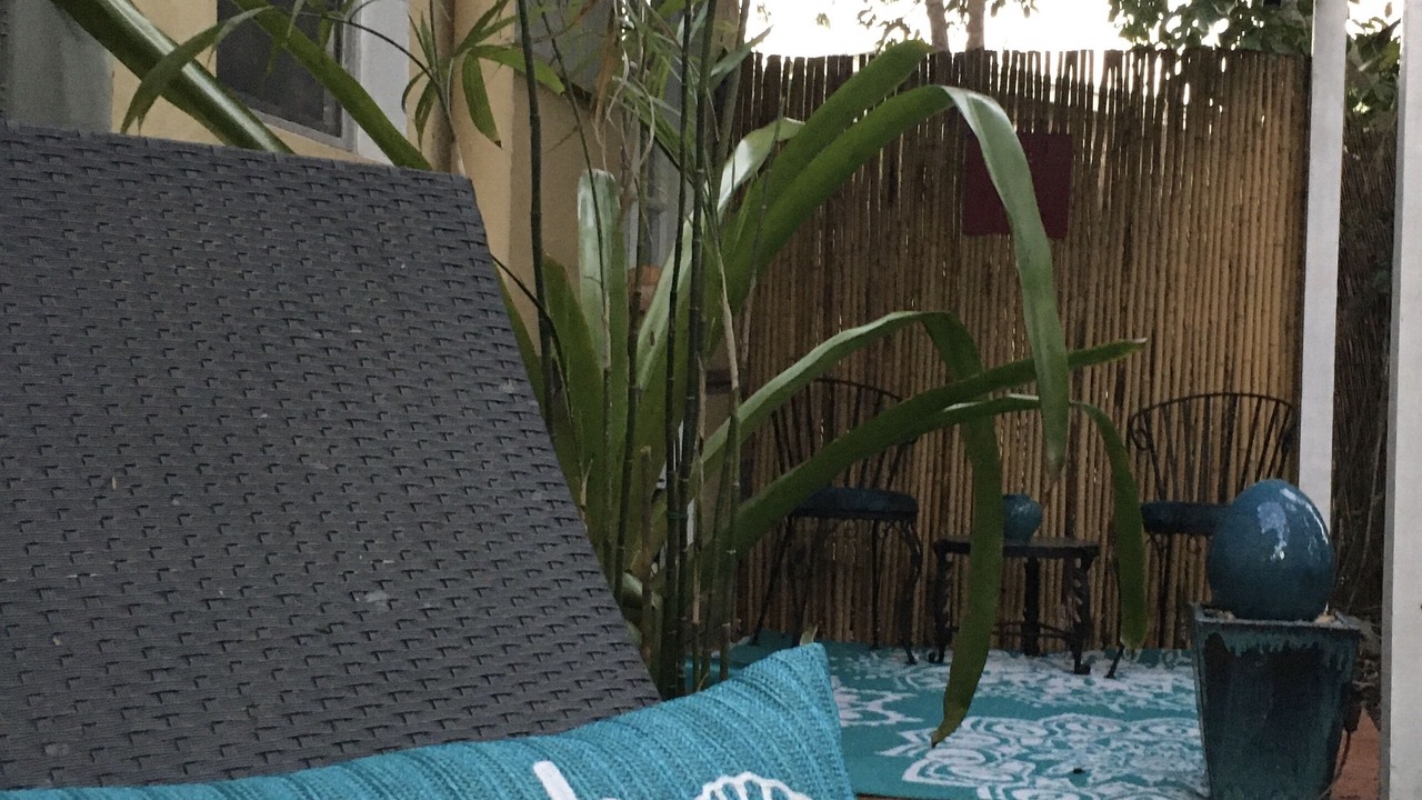 Photo of Outdoor in Miami Shores