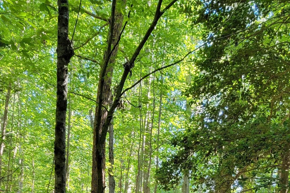 Photo of Outdoor in Saint Stephens Church