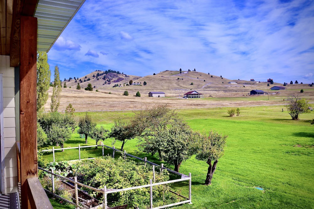 Photo of Outdoor in Elmo