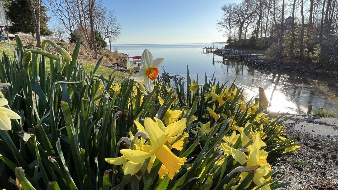 Photo of Outdoor in Montross