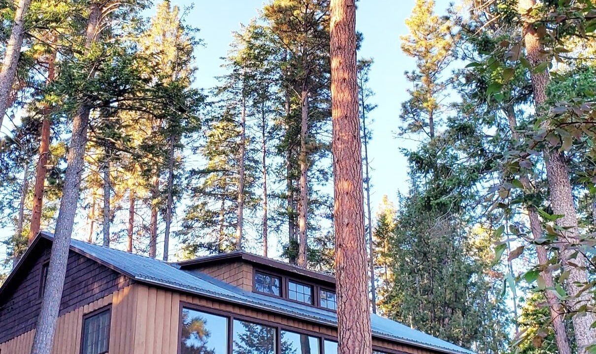 Photo of Outdoor in Big Arm