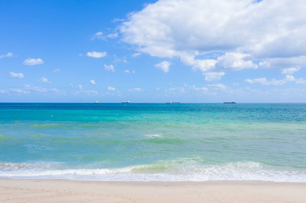 Photo of Others in Barrier Island