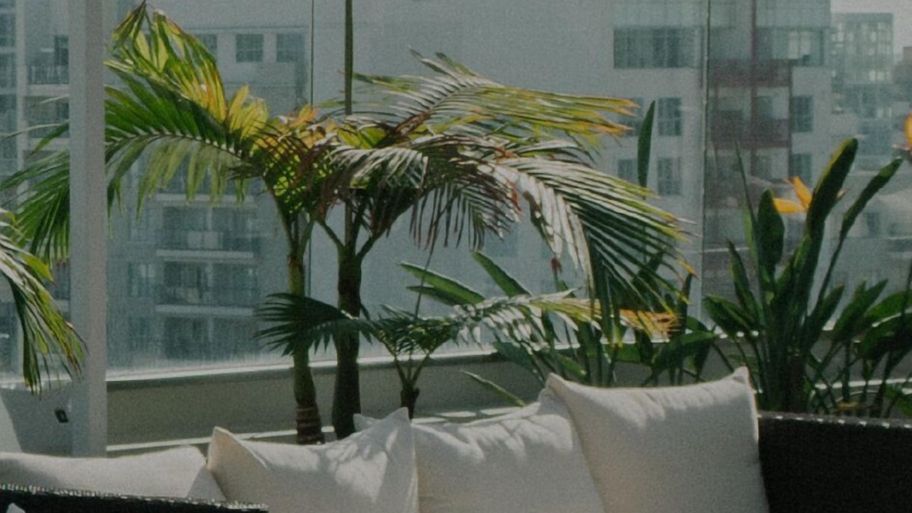 Photo of Outdoor in Miramar