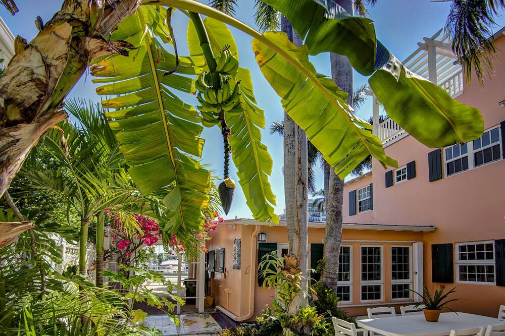 Photo of Outdoor in Marina District