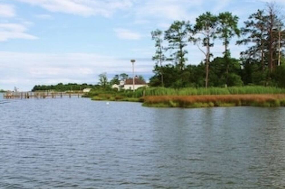 Photo of Outdoor in Piney Point