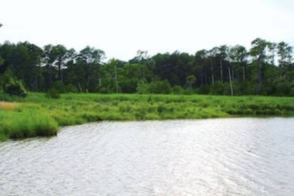 Photo of Others in Piney Point