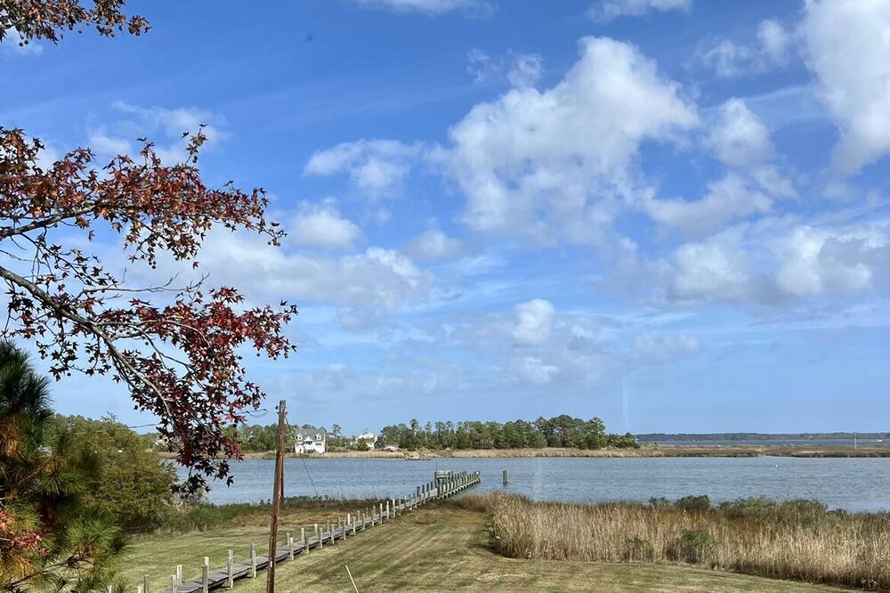 Photo of Others in Piney Point