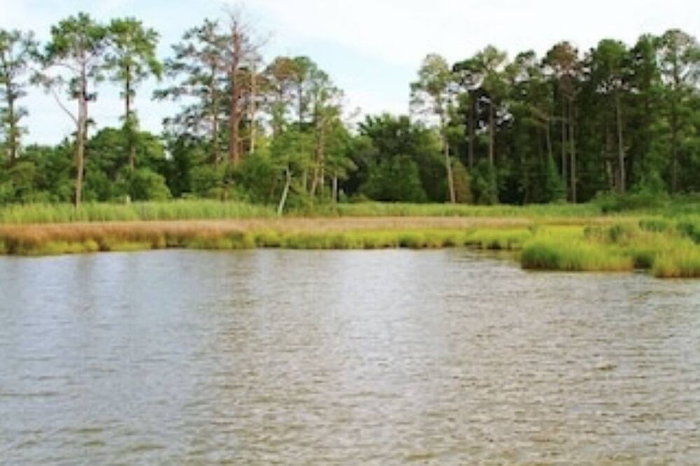 Photo of Outdoor in Piney Point