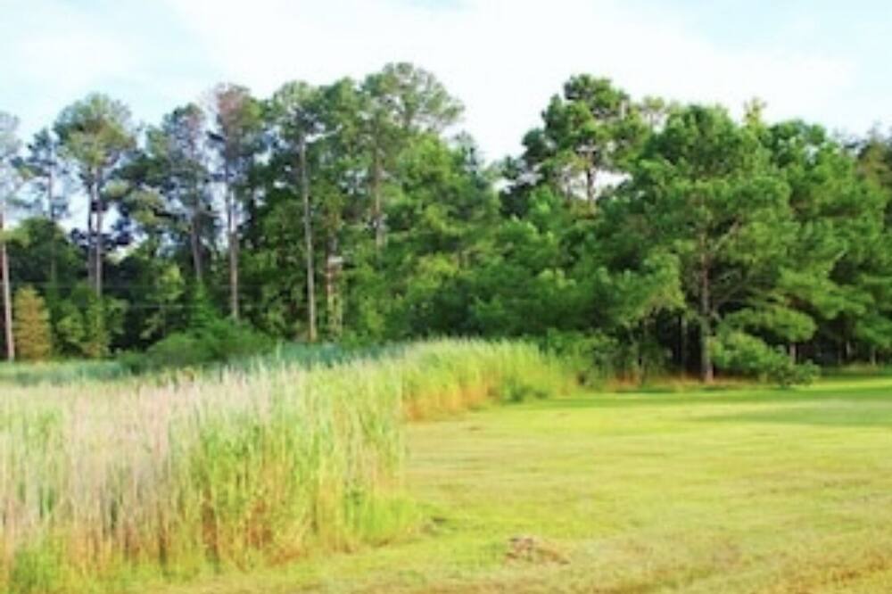 Photo of Outdoor in Piney Point
