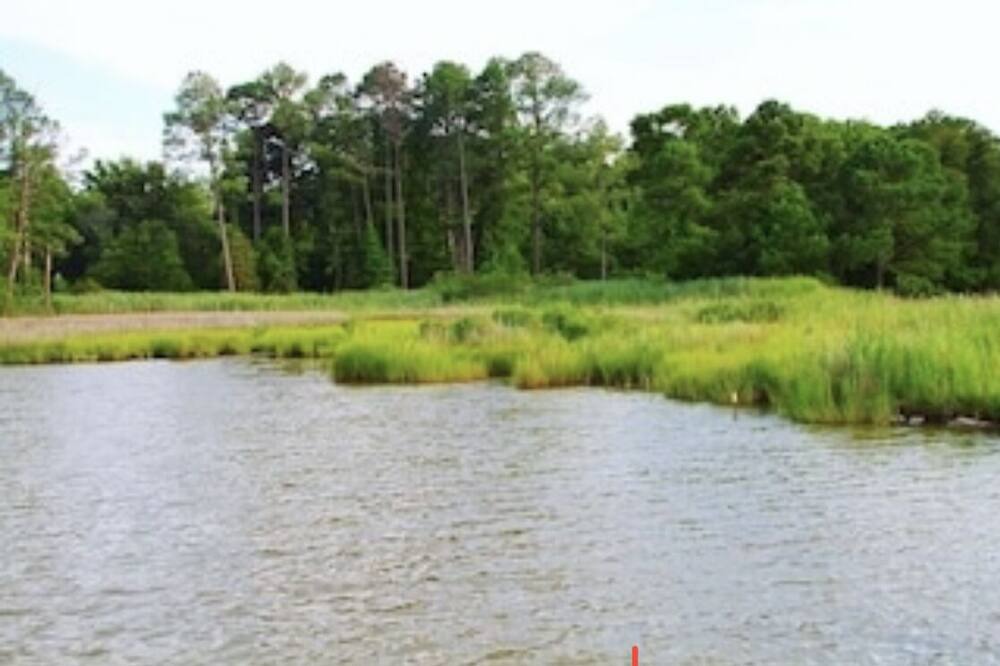 Photo of Outdoor in Piney Point