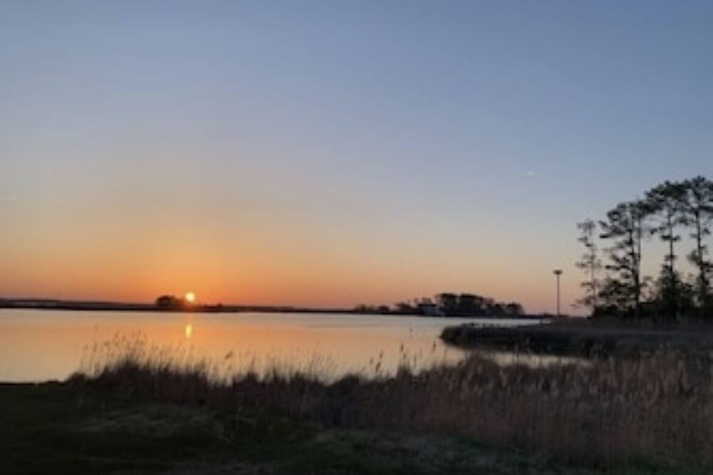 Photo of Others in Piney Point