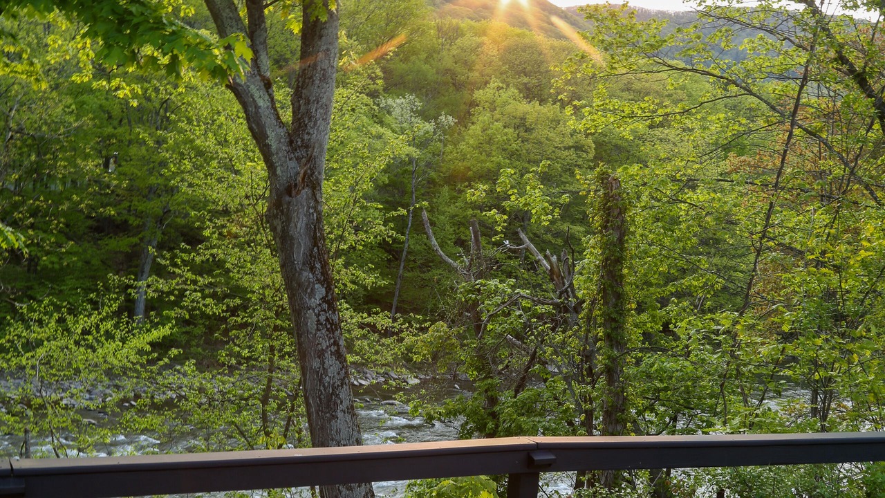 Photo of Outdoor in Boiceville