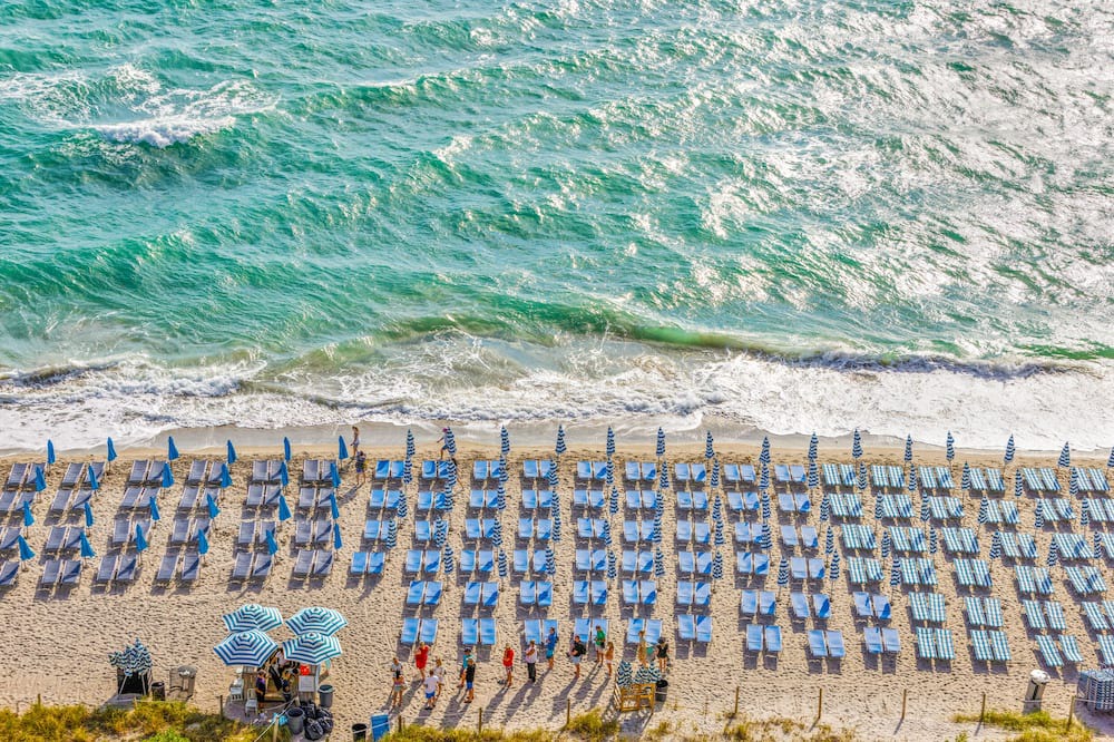 Photo of Others in Hallandale Beach