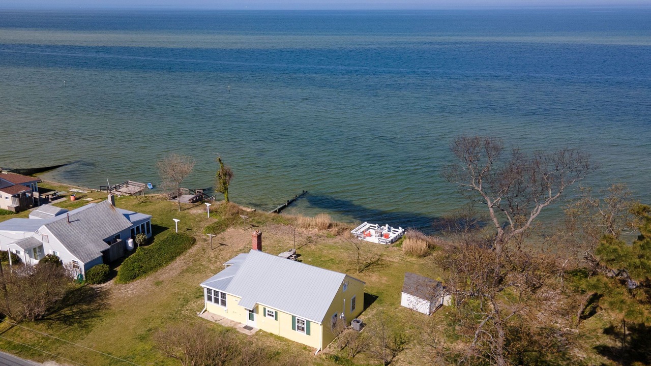 Photo of Outdoor in Birdsnest