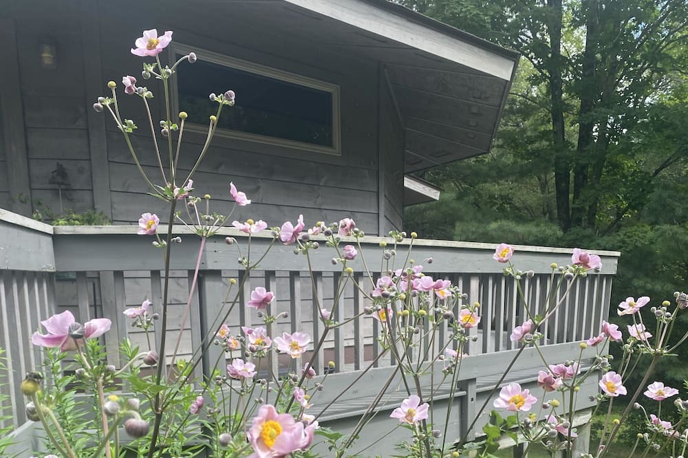 Photo of Outdoor in East Chatham