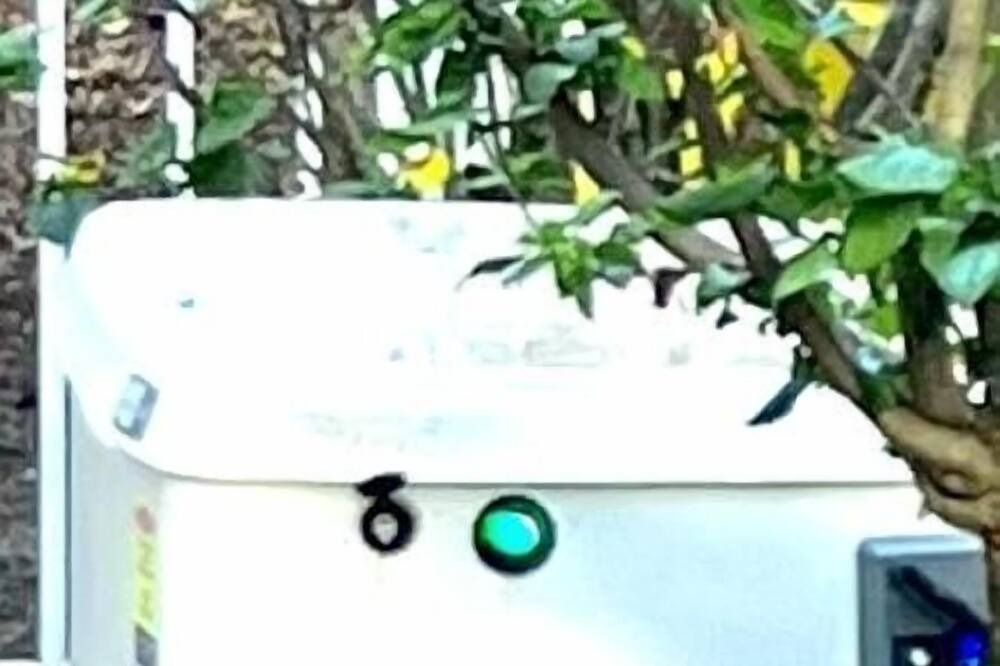 Photo of Others in Boca Raton