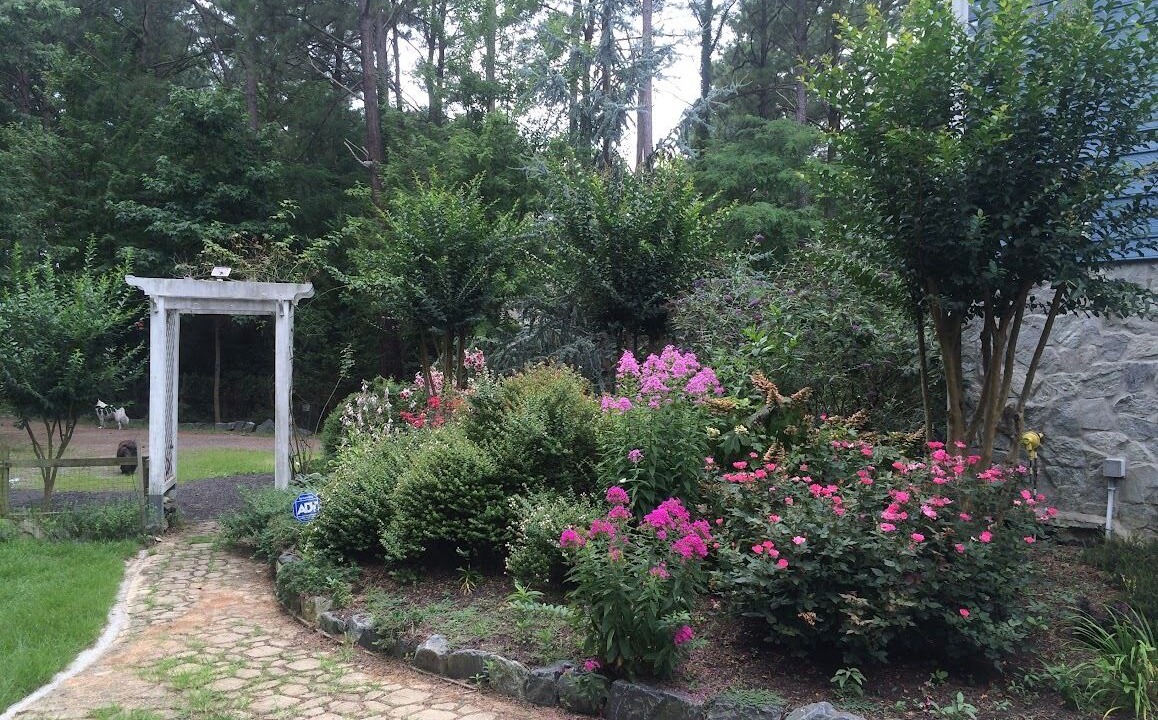 Photo of Outdoor in Ridge