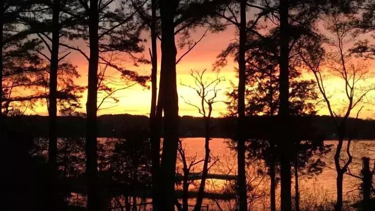 Photo of Outdoor in Ridge