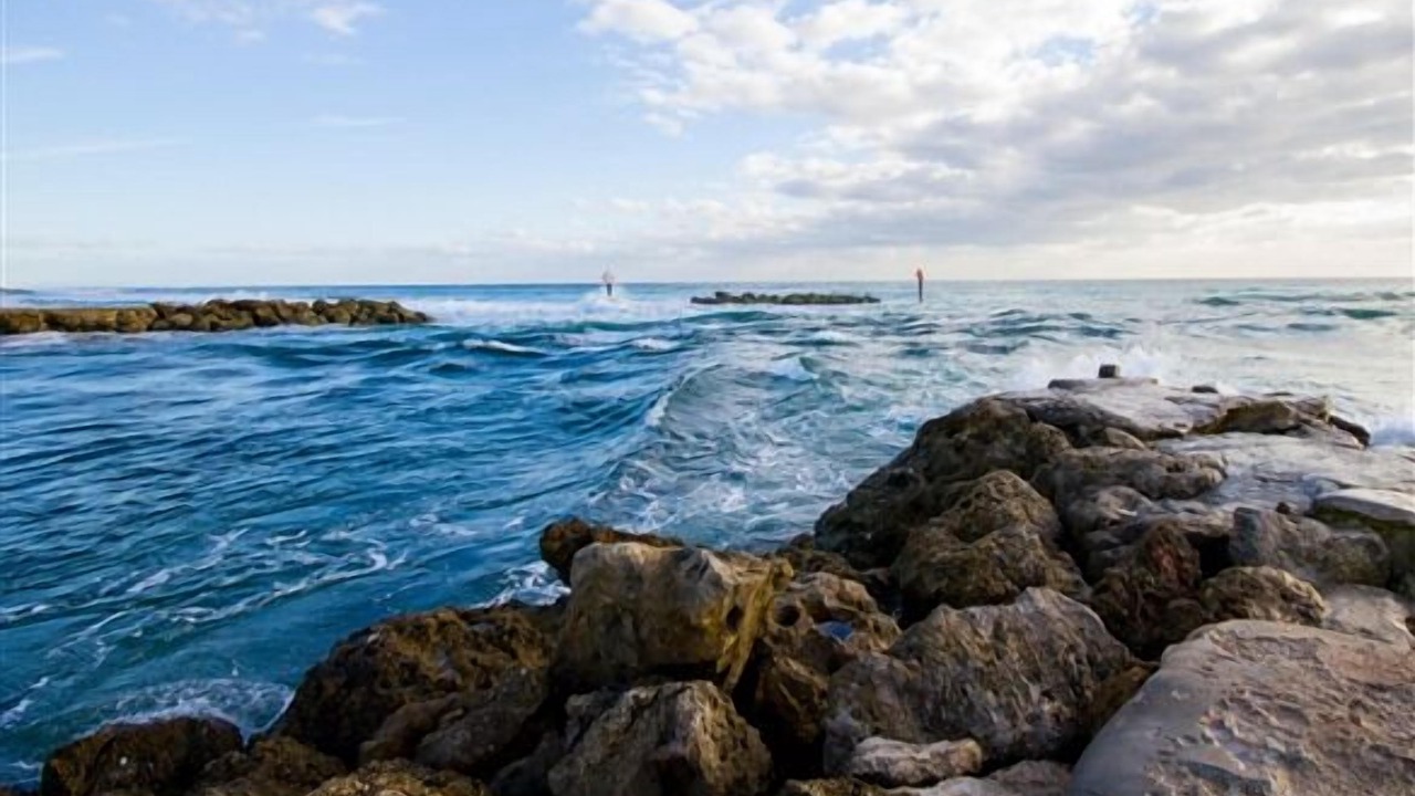Photo of Outdoor in Boca Raton