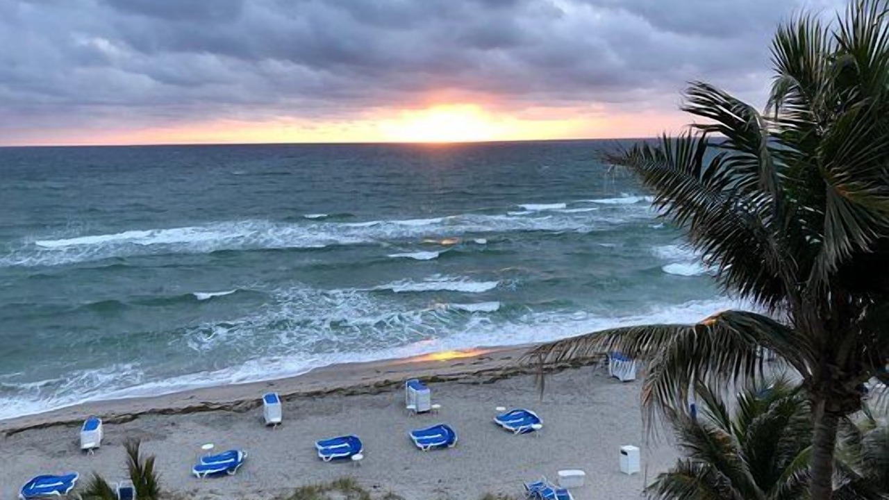 Photo of Others in Boca Raton