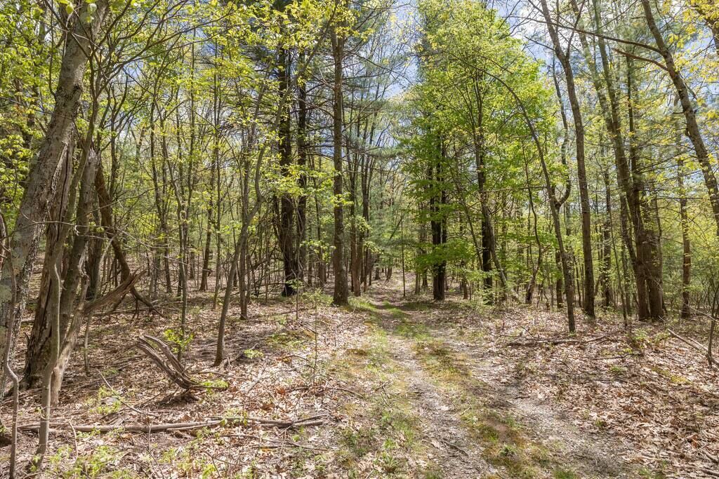 Photo of Outdoor in Town of Schodack