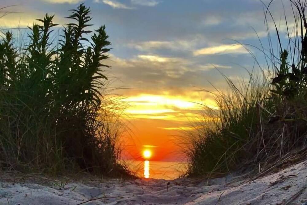 Photo of Others in North Cape May