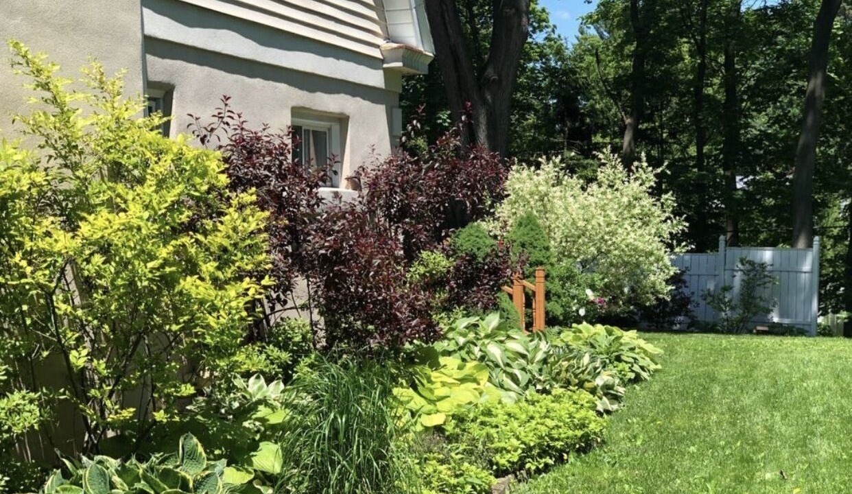 Photo of Outdoor in Albany