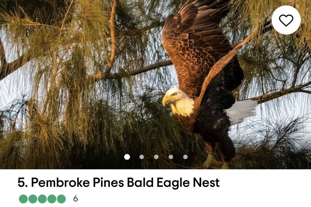 Photo of Others in Pembroke Pines