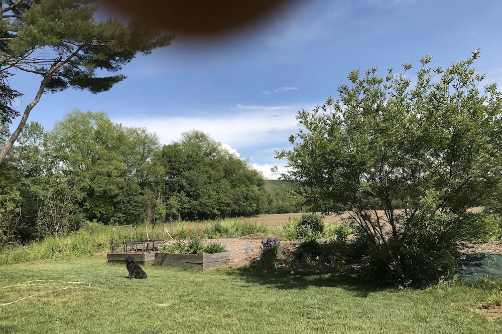 Photo of Outdoor in Great Barrington