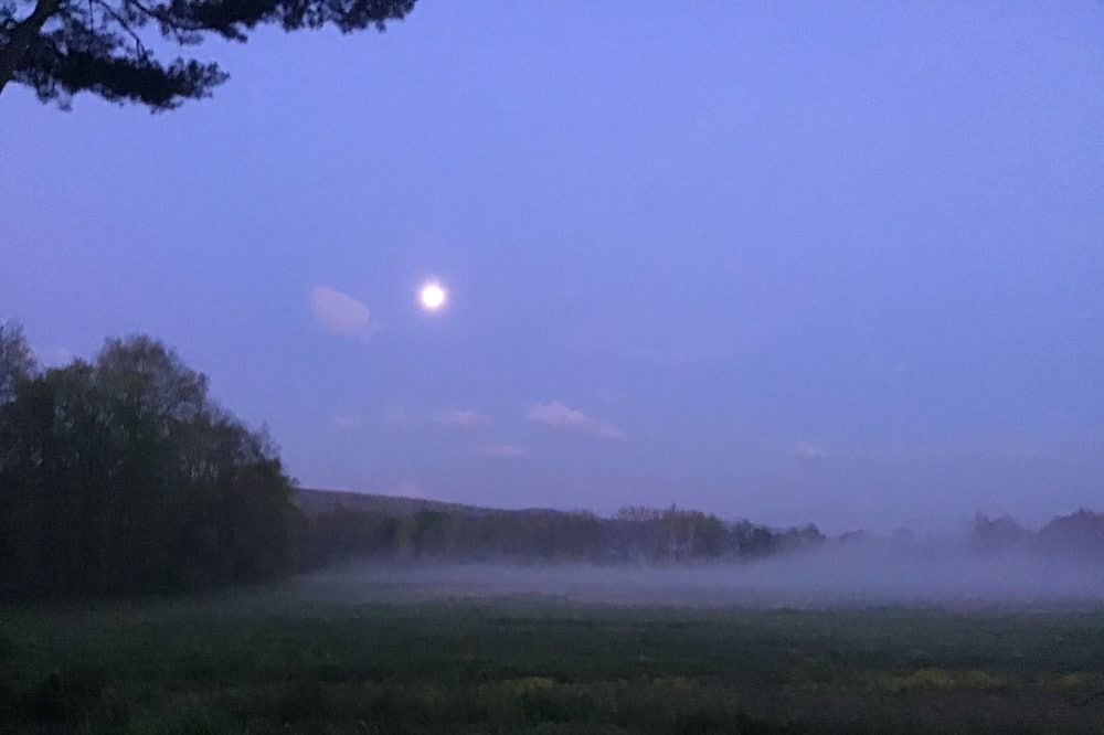 Photo of Outdoor in Great Barrington