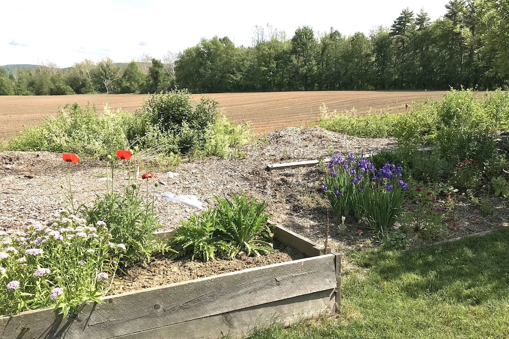 Photo of Outdoor in Great Barrington
