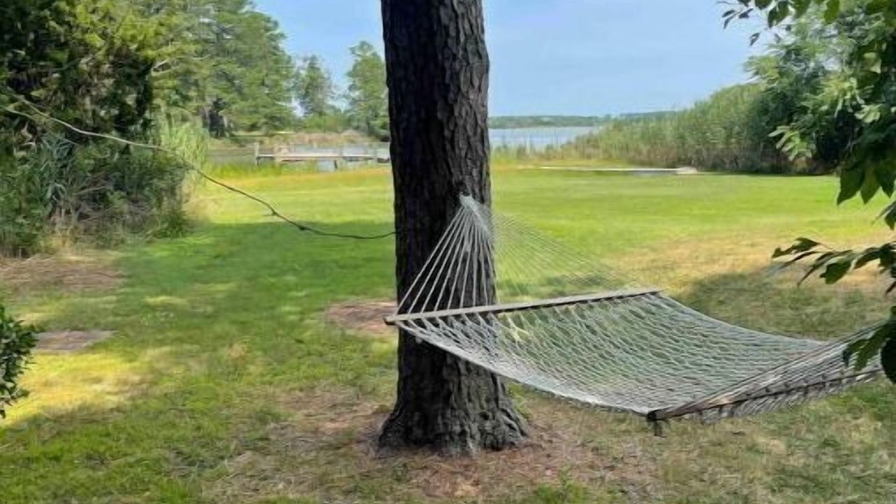 Photo of Outdoor in Bozman