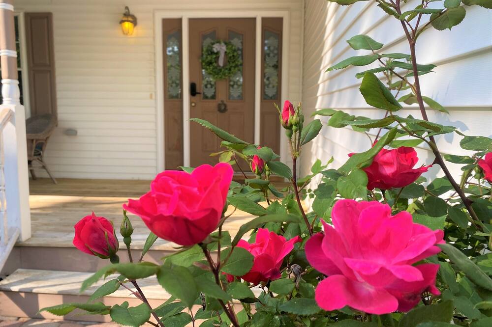 Photo of Outdoor in Dennisville