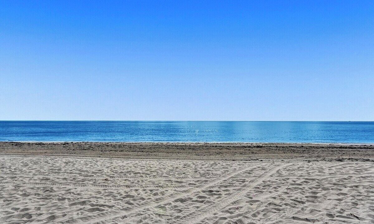 Photo of Others in North Beach