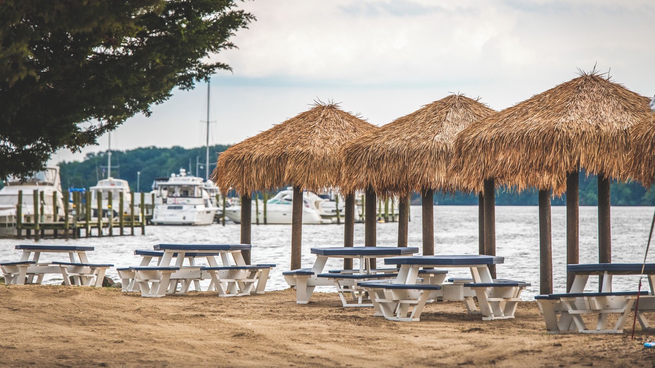 Photo of Others in Great Oak Landing