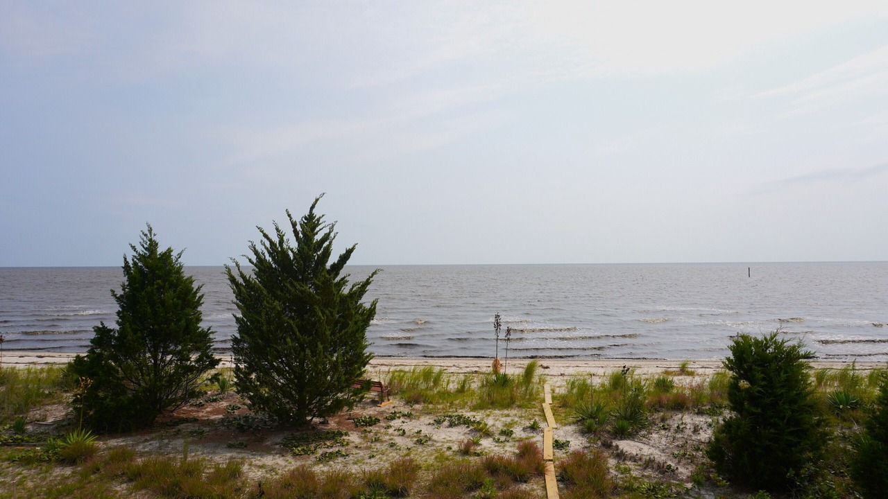 Photo of Outdoor in Little Creek