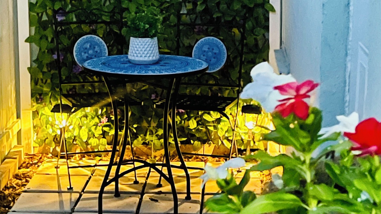 Photo of Outdoor in North Andrews Gardens